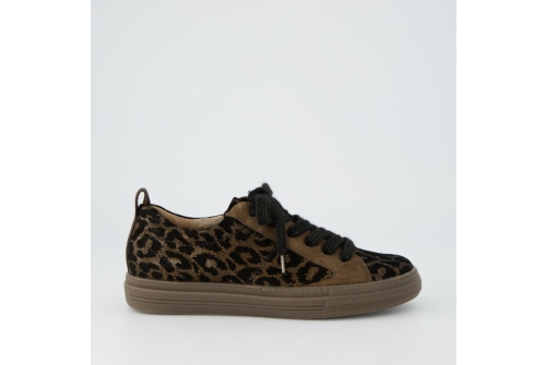 An image of Paul Green '5416' suede sneaker - brown/leopard 