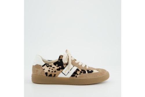 An image of Paul Green '5437' Leopard suede sneaker 