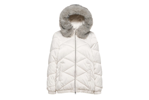 An image of Geox "Backsie" Quilted Down Jacket - Moonbeam 